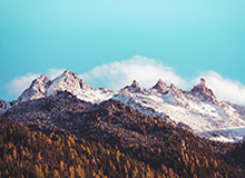 开云-足协官方：同意李铁辞职申请 李霄鹏担任国足主帅